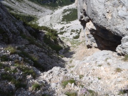 Scala Santa: il passaggio della Madonnina